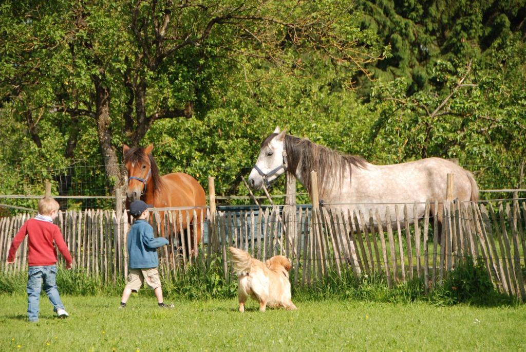 Bed & Breakfast Les Trois Voisins Bourseigne-Vieille