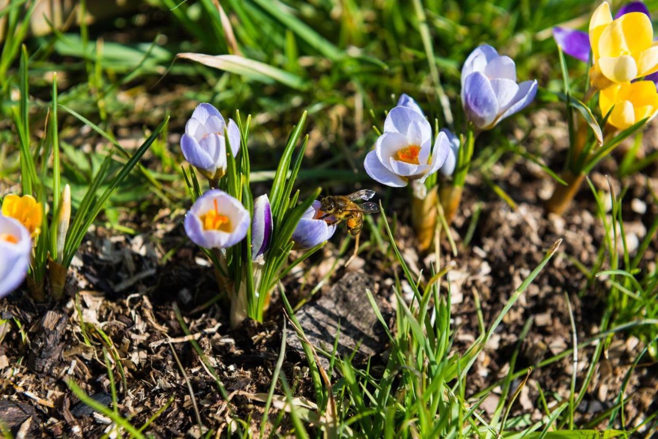 Les Trois Voisins Bourseigne-Vieille